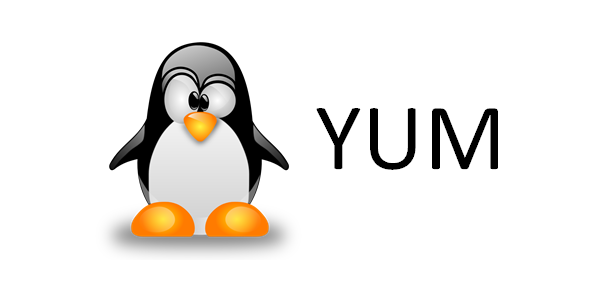 Устранение ошибки Could not resolve host: mirrorlist.centos.org