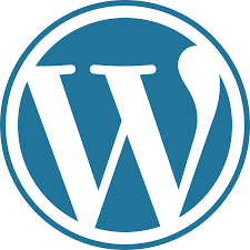 Добавляем видео с YouTube и Rutube к записям WordPress