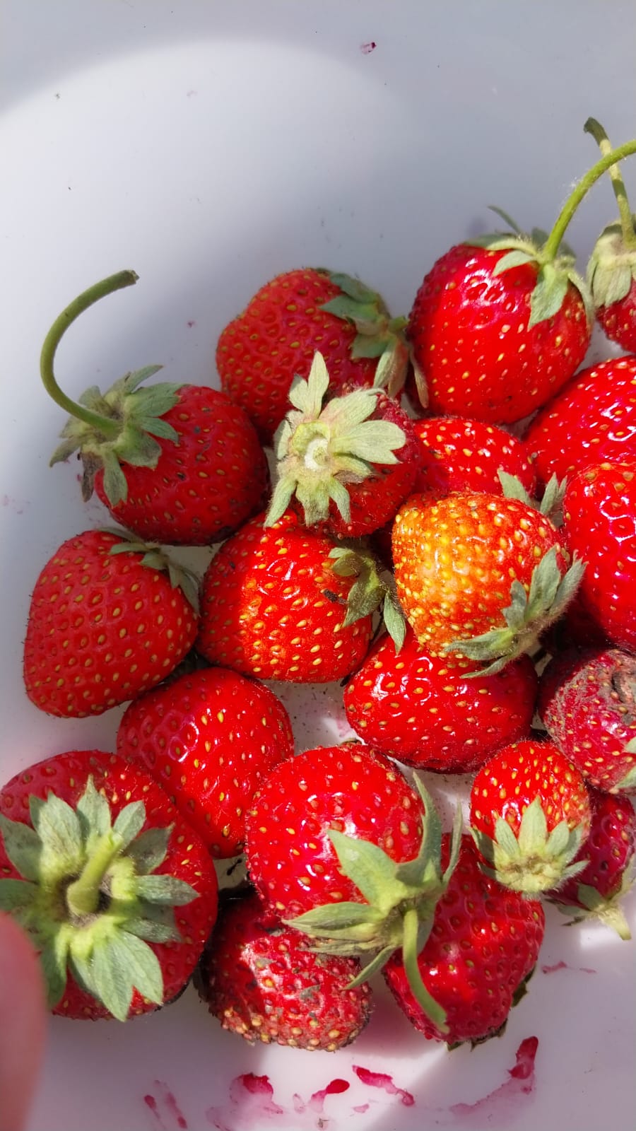 Давайте немного отойдем от IT-тематики