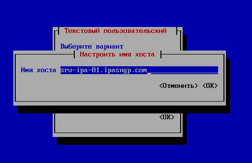 nmtui настройка сетевого имени хоста