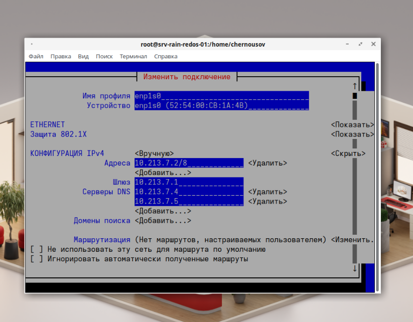 Настройка адреса DNS-серверов при помощи nmtui