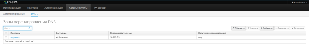Перенаправление DNS IPA
