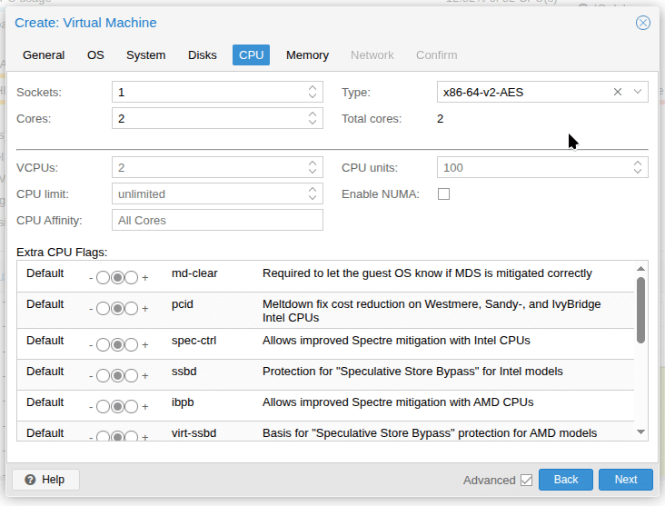 Выбираем сколько у нас будет виртуальных ядер и тип процессора (опционально).