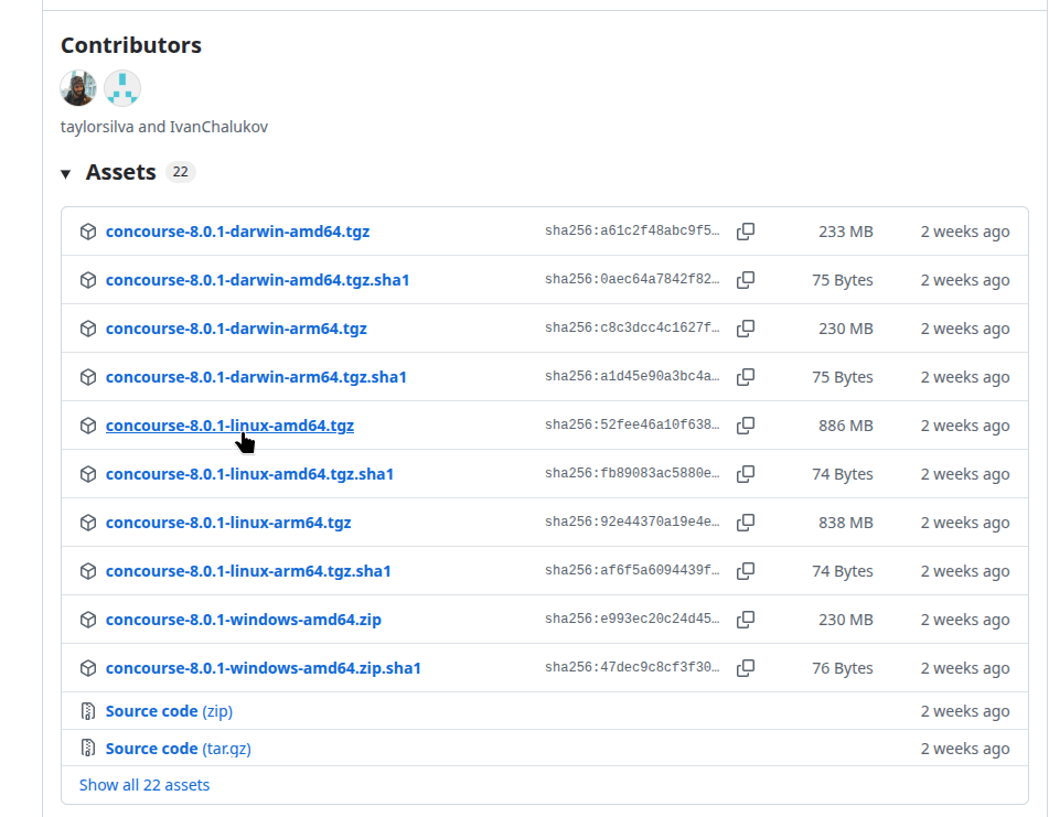 Загрузка бинарных файлов Concourse с GitHub